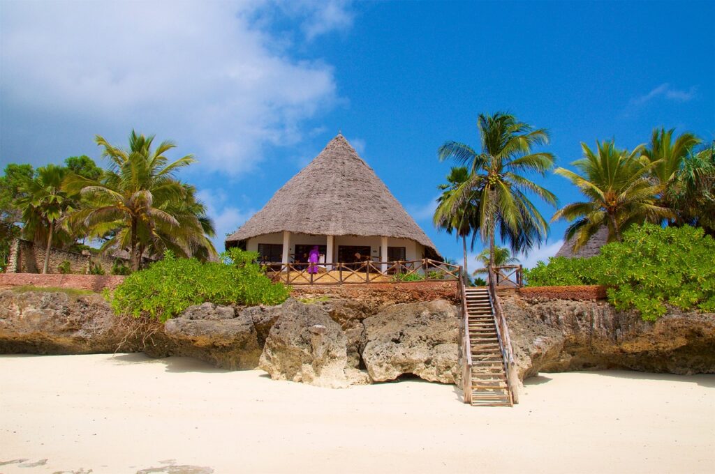 zanzibar, beach, hotel, palm trees, zanzibar, zanzibar, zanzibar, zanzibar, nature, zanzibar