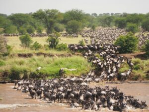 Tourist Attractions in Kenya